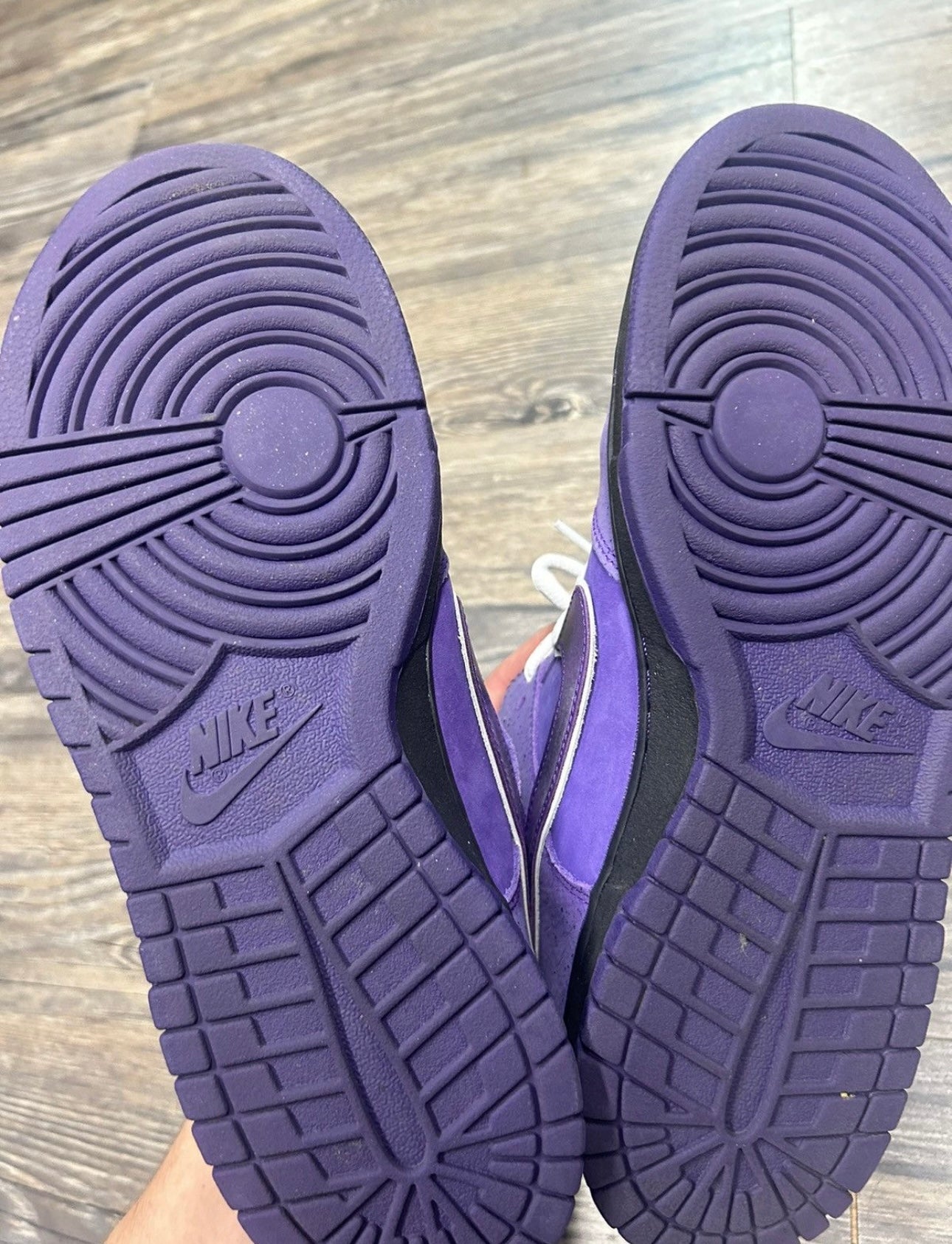 NIKE SB DUNK LOW CONCEPTS PURPLE LOBSTER (M 9.5)
