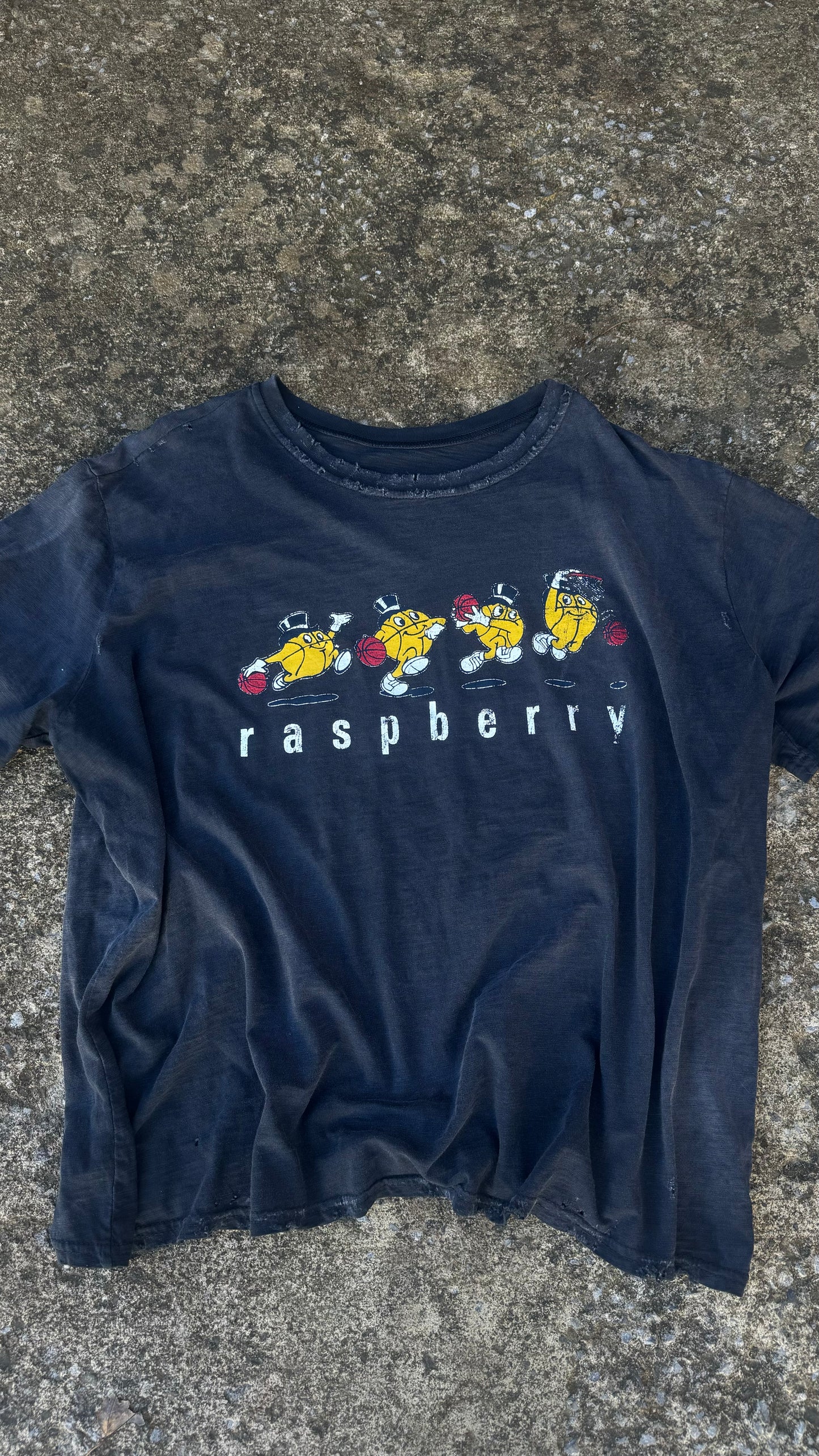 RASPBERRY HILLS HMDD BALL TEE