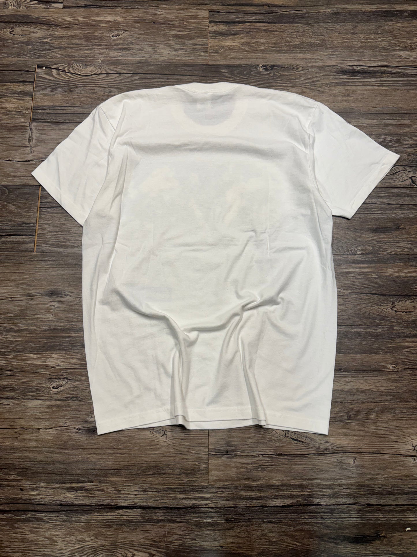 SUPREME X JUNYA X WATANABE X CDG NATURE GRAPHIC T-SHIRT (LARGE)