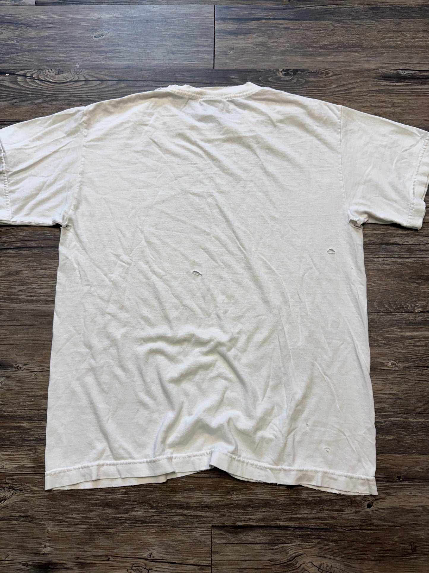 JOHN CENA 2000s DISTRESSED WWE PROMO T-SHIRT (M)