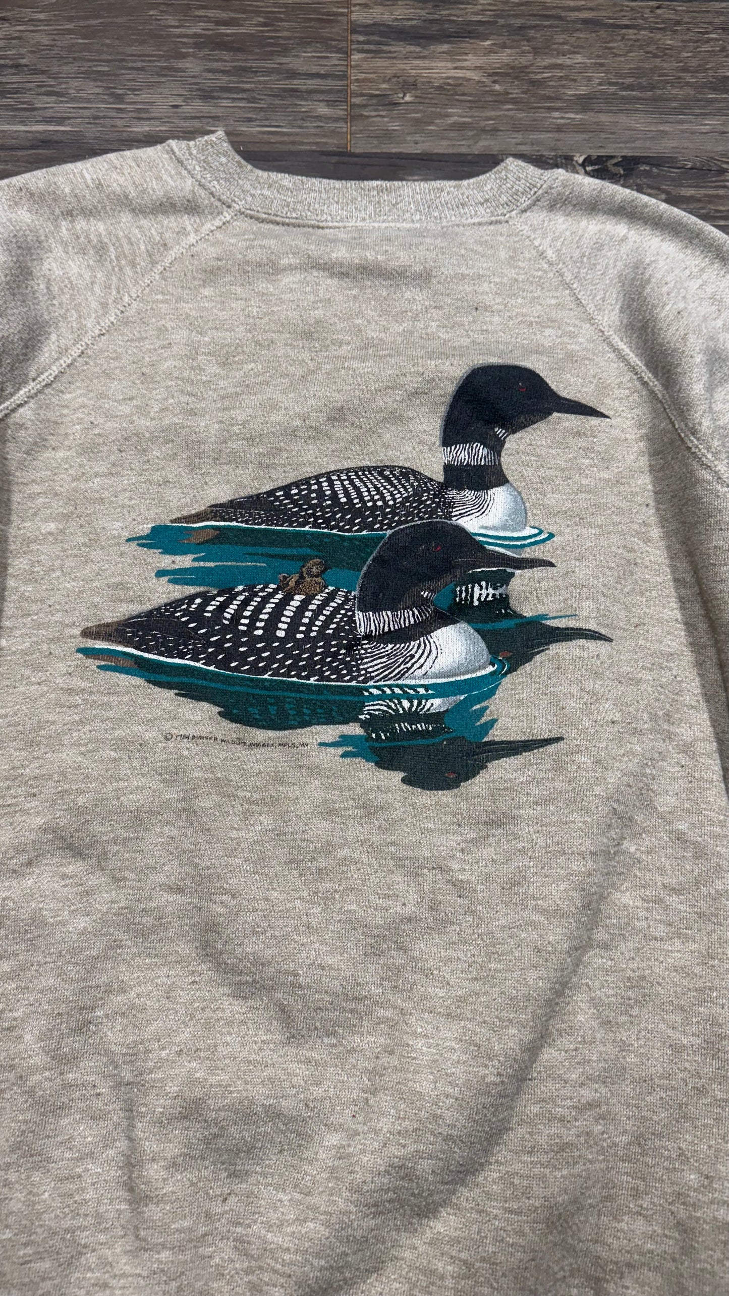 90s VINTAGE DUCKS CREWNECK (M)