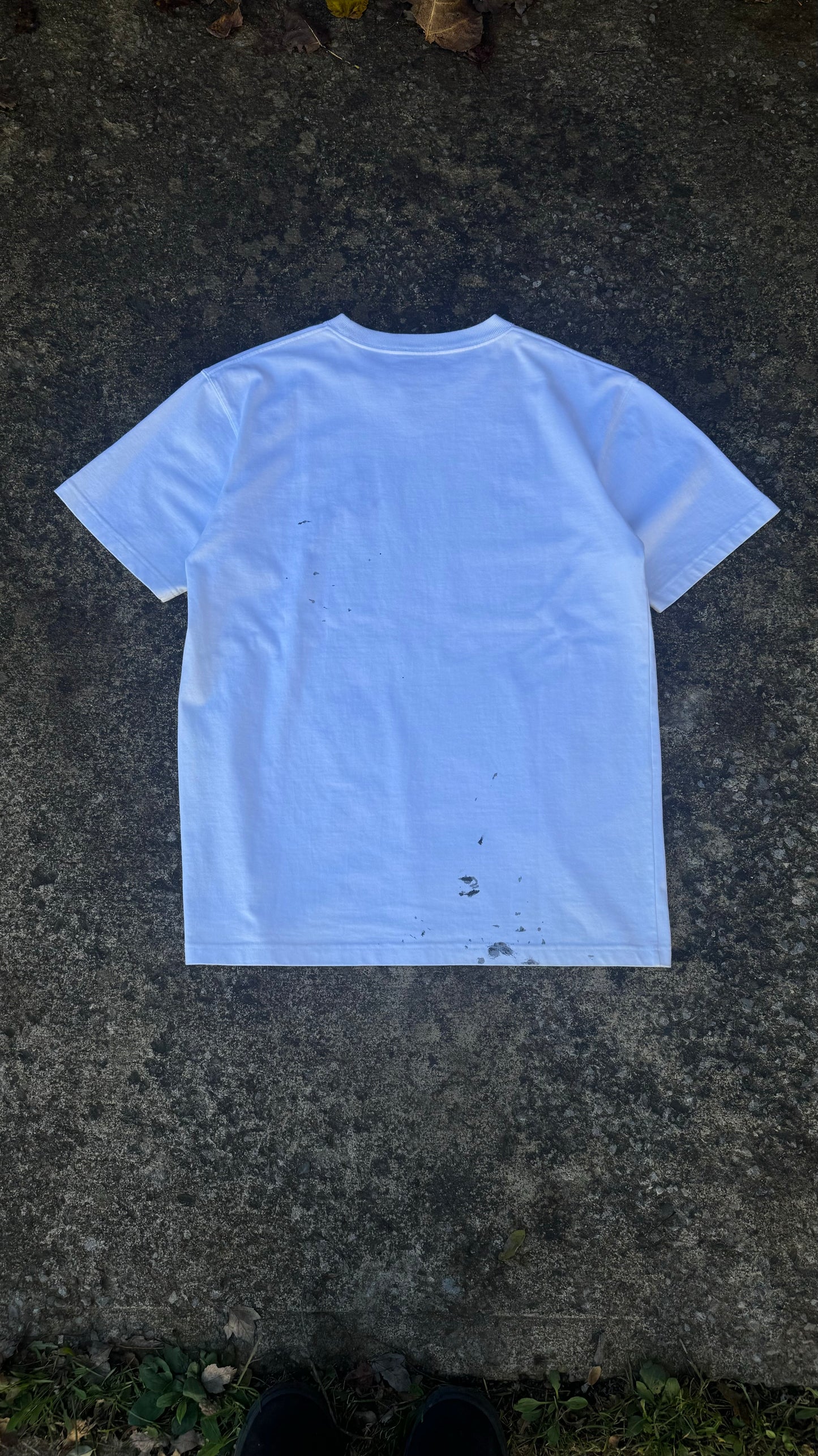 DIOR X CACTUS JACK TEE (M)