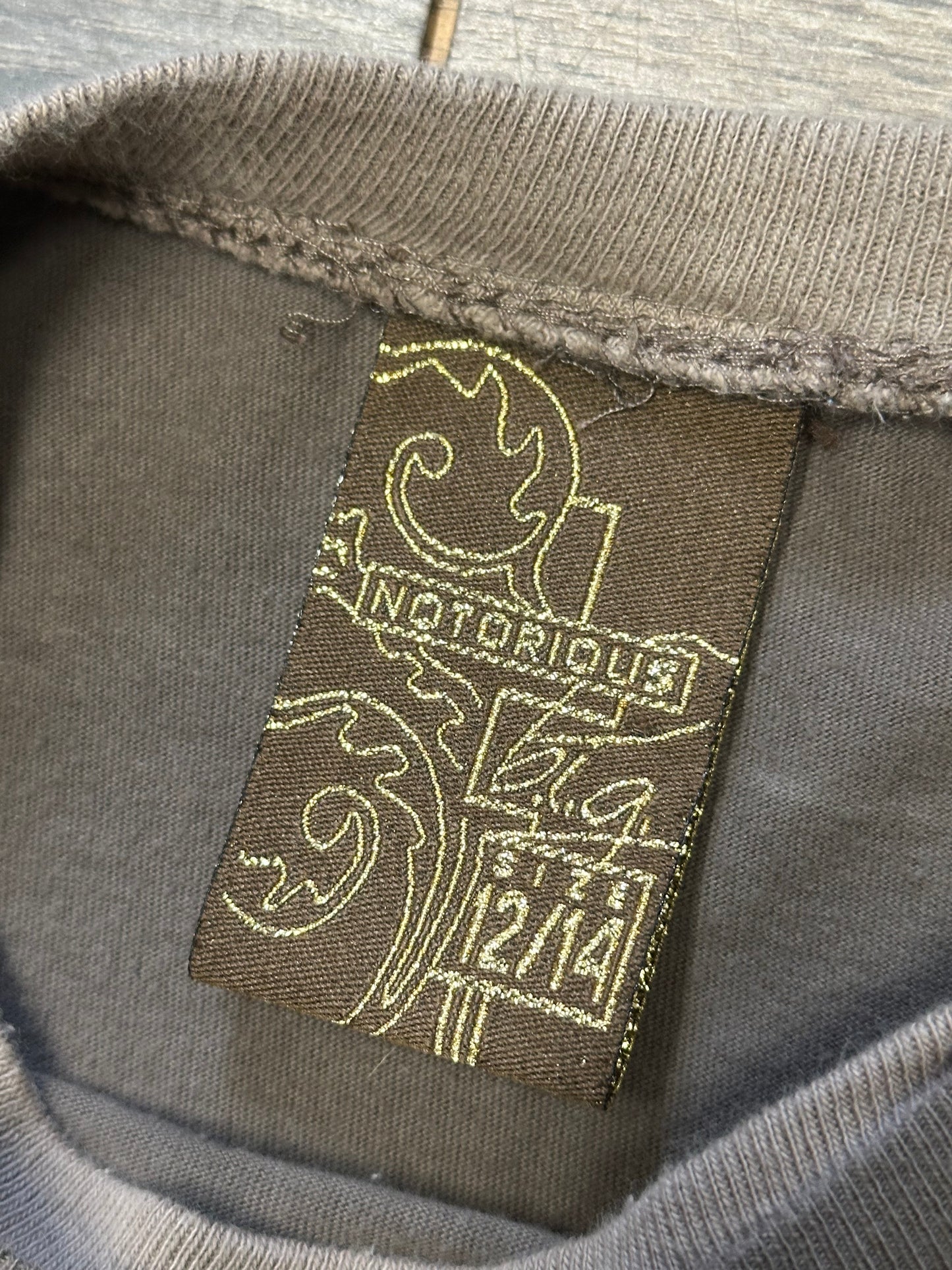 Y2K NOTORIOUS T-SHIRT (SMALL)