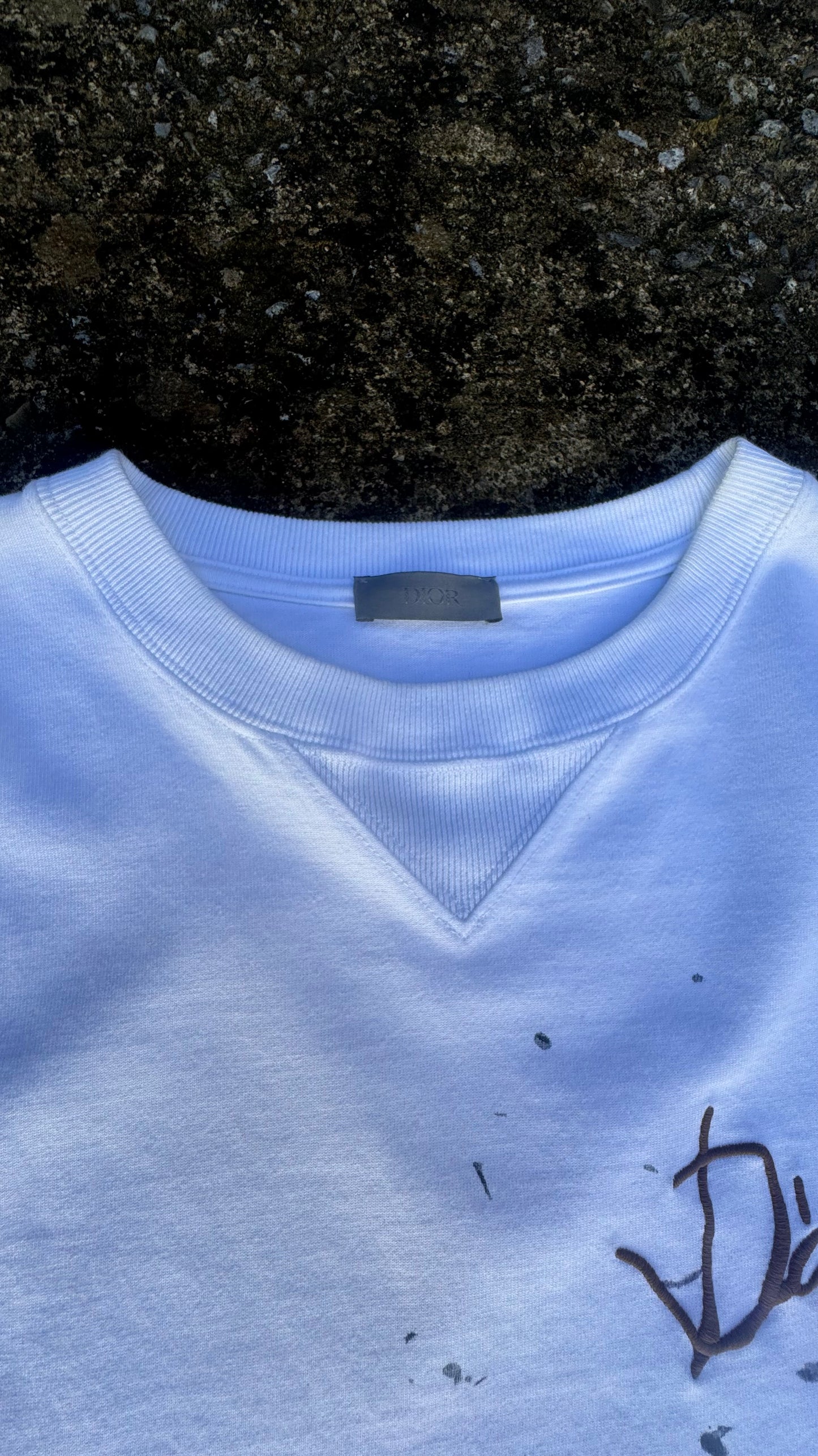 DIOR X CACTUS JACK TEE (M)