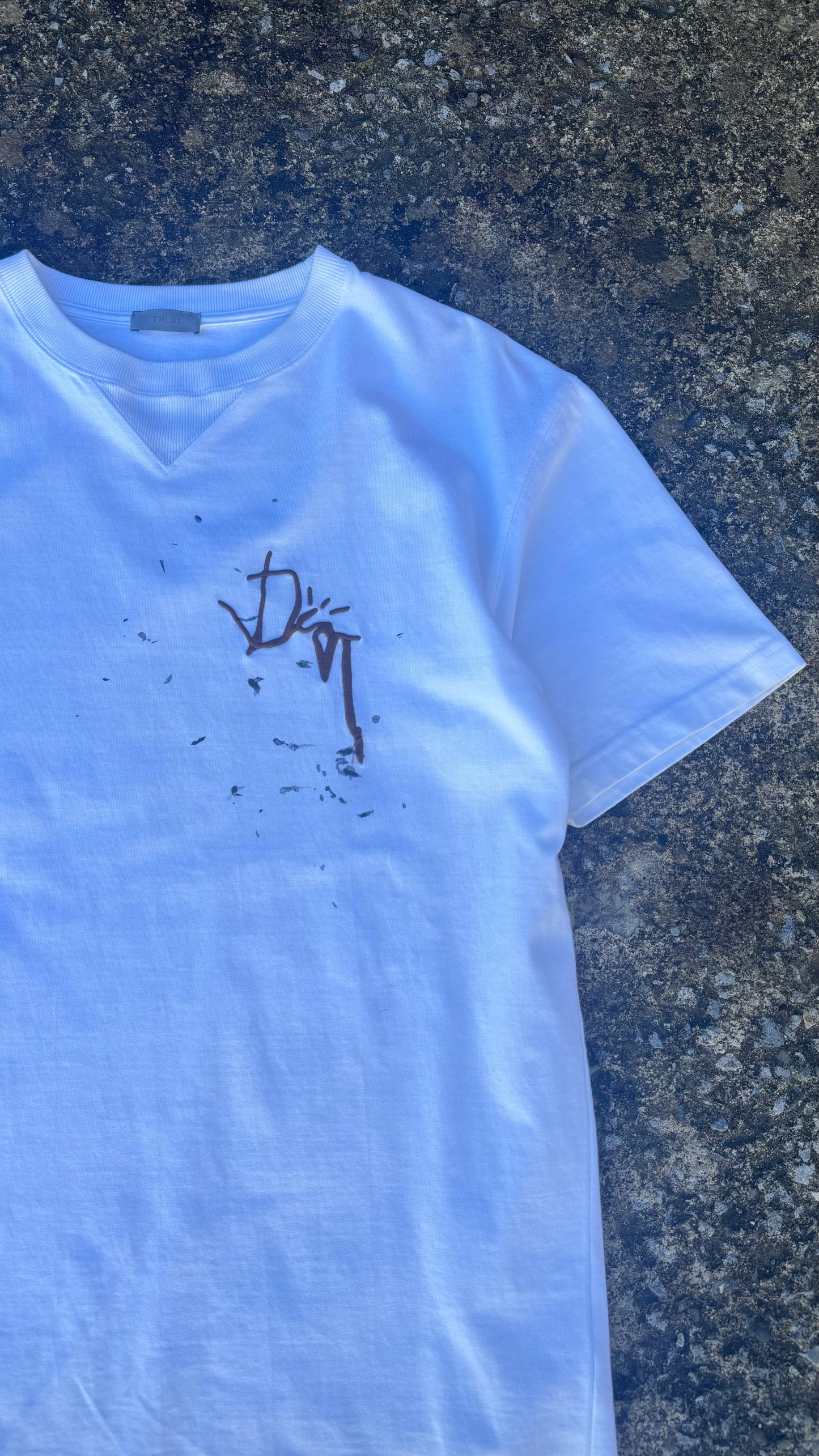 DIOR X CACTUS JACK TEE (M)