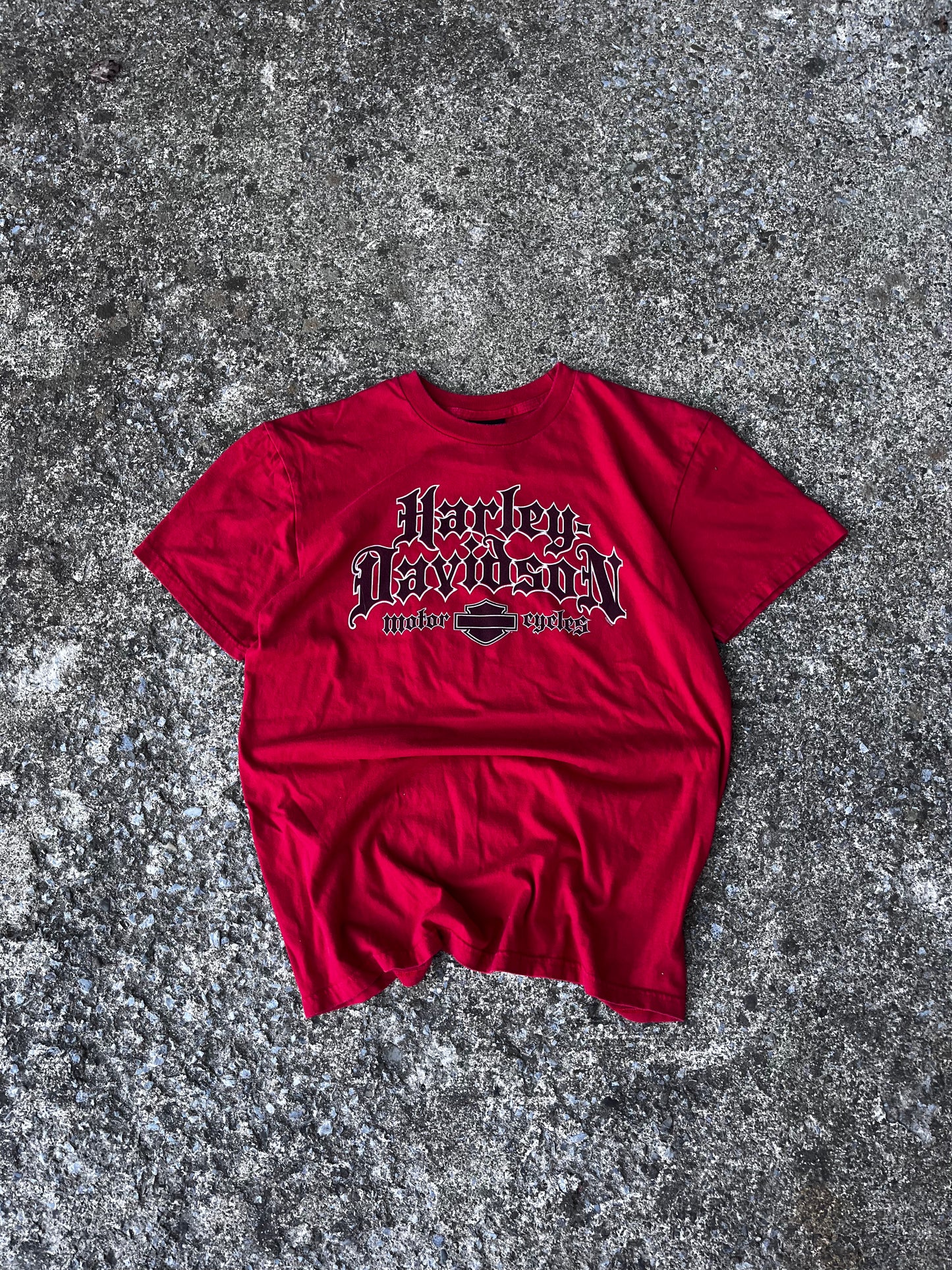 HARLEY DAVIDSON BIG LOGO ROCHELLE PARK TEE (L)