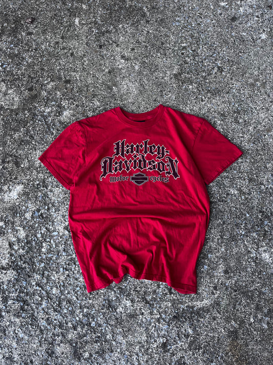 HARLEY DAVIDSON BIG LOGO ROCHELLE PARK TEE (L)