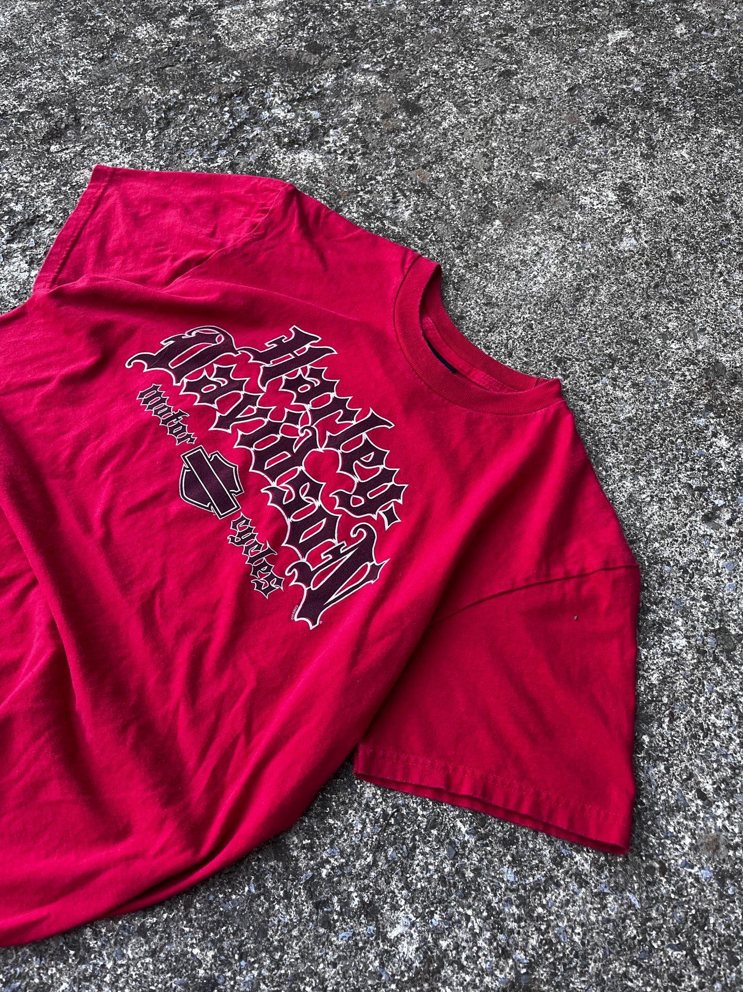 HARLEY DAVIDSON BIG LOGO ROCHELLE PARK TEE (L)