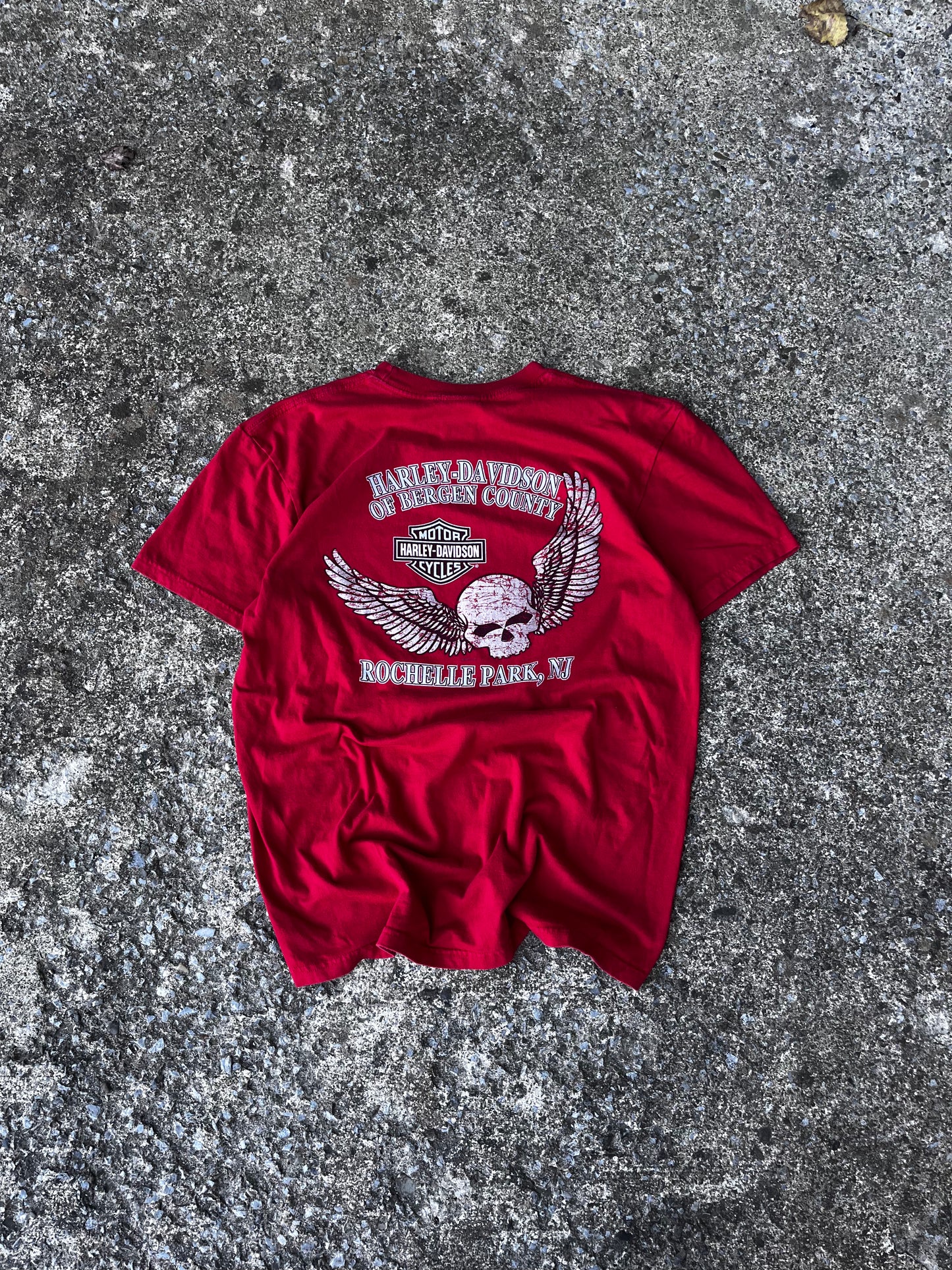 HARLEY DAVIDSON BIG LOGO ROCHELLE PARK TEE (L)