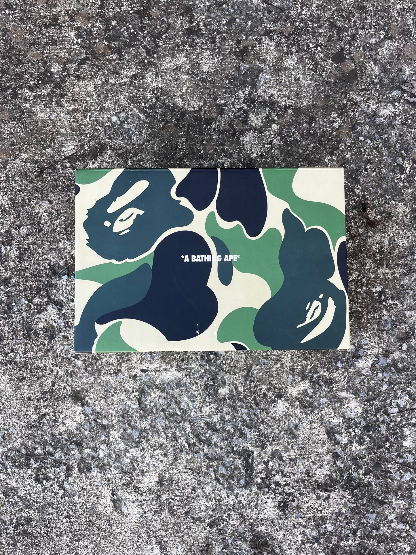 A BATHING APE BAPESTA FORCES (10.5)