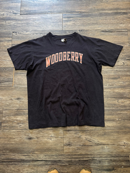80s CHAMPION WOODBERRY FADED BROWN T-SHIRT (XL)