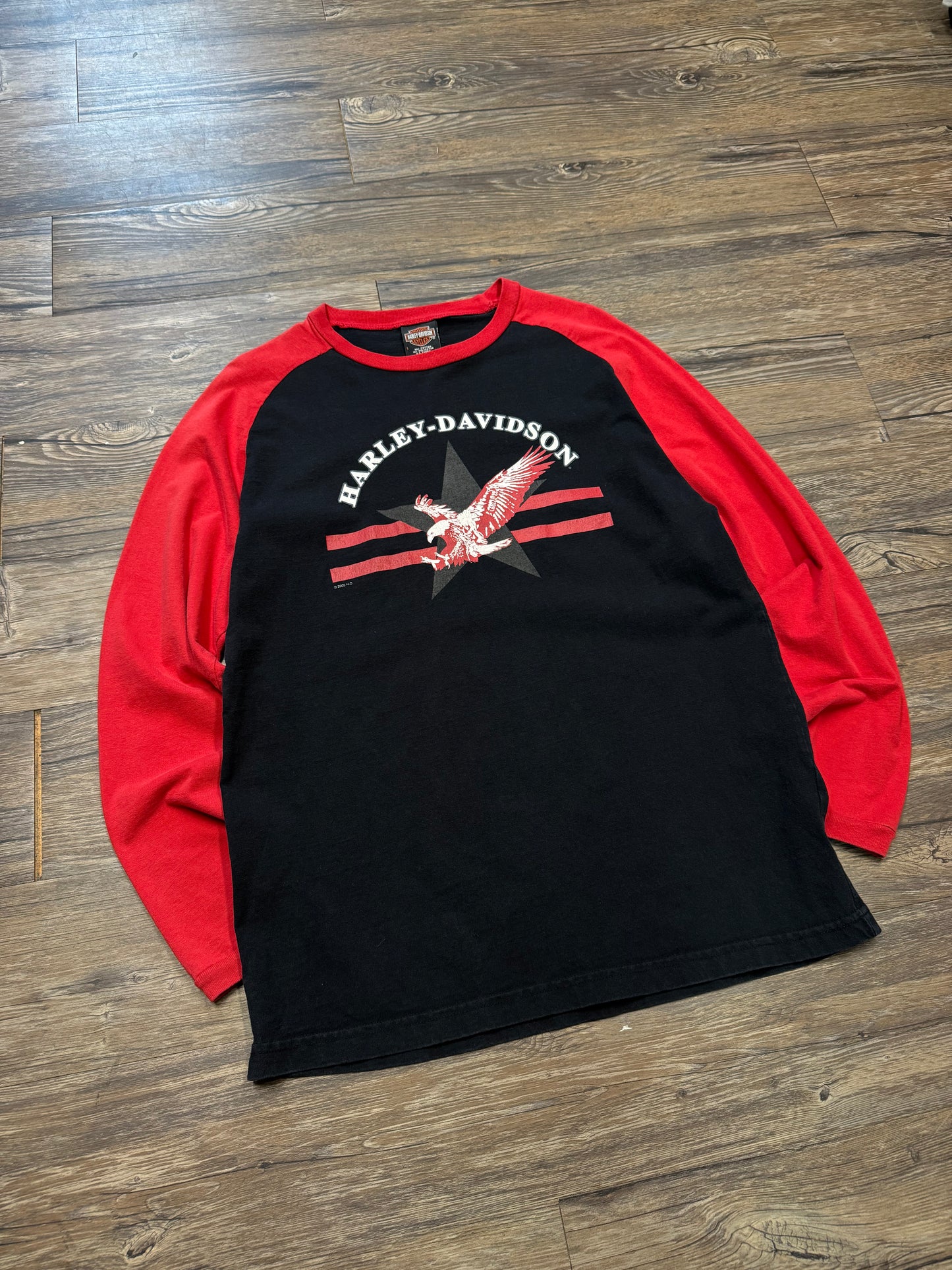 VINTAGE HARLEY DAVIDSON 2005 BASEBALL SHIRT (L)