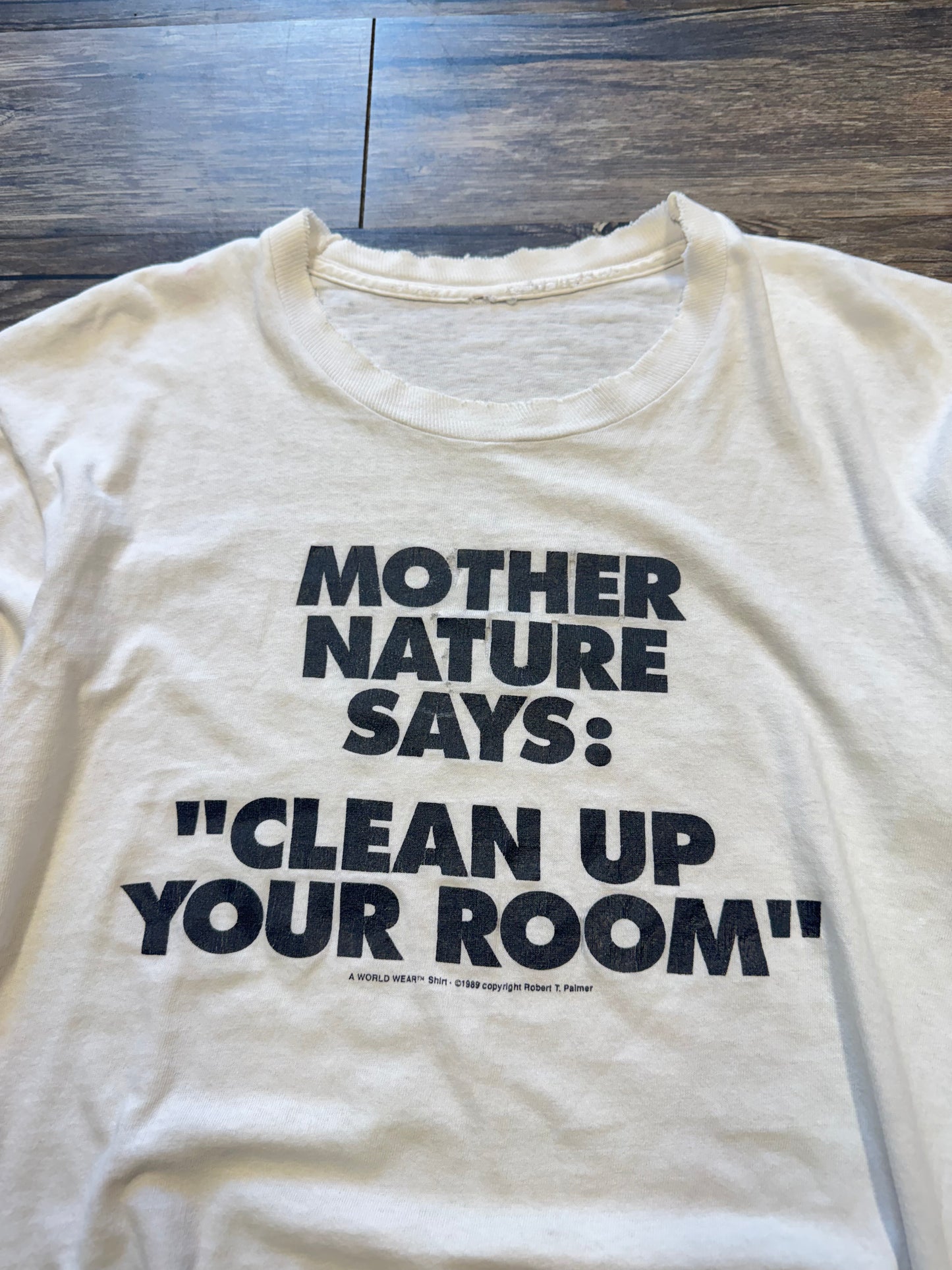 80s ‘MOTHER NATURE CLEAN UP YOUR ROOM’ TATTERED T-SHIRT (M)