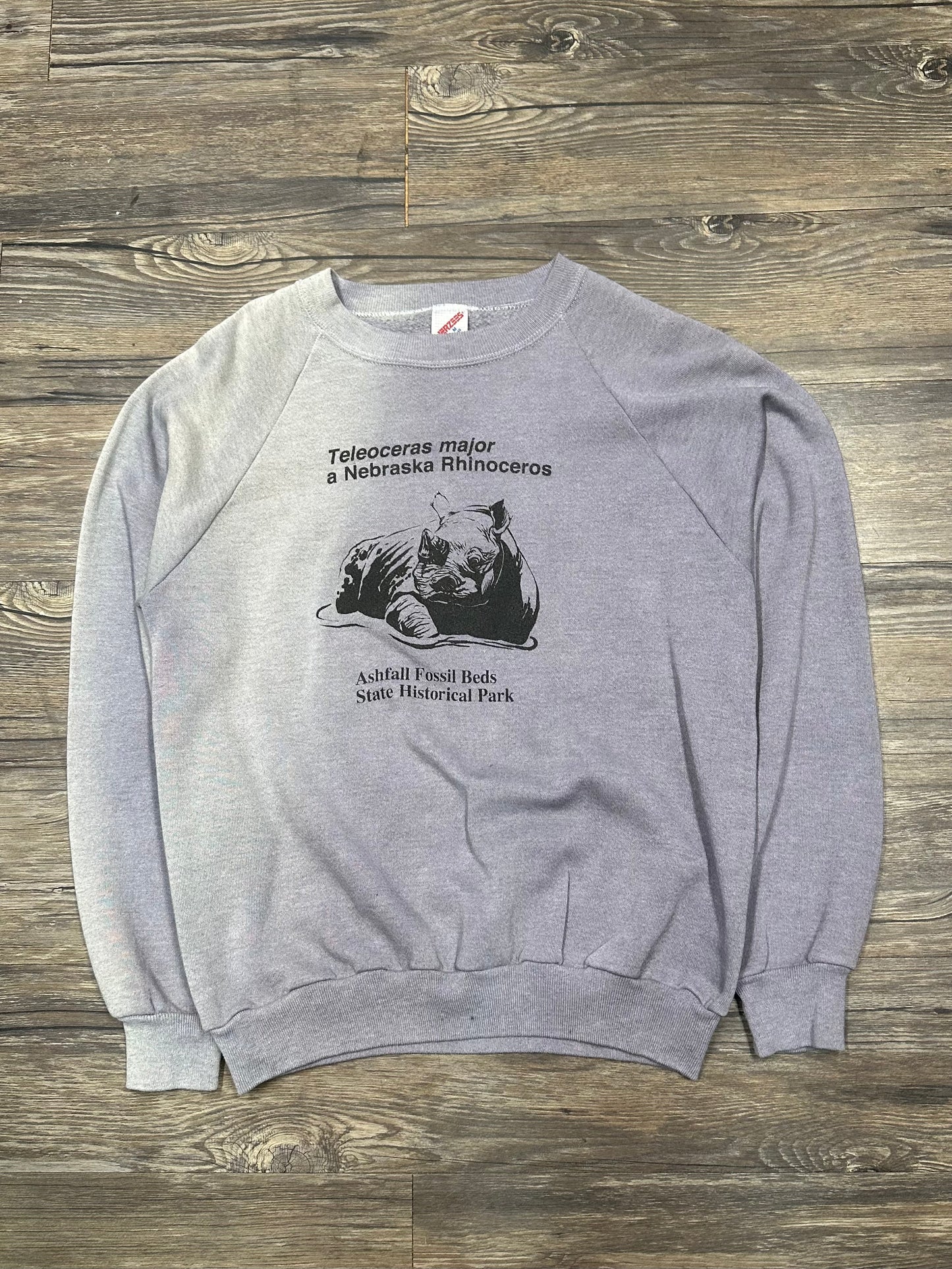 90’s SUN FADED ASHFALL STATE PARK CREWNECK (MEDIUM)