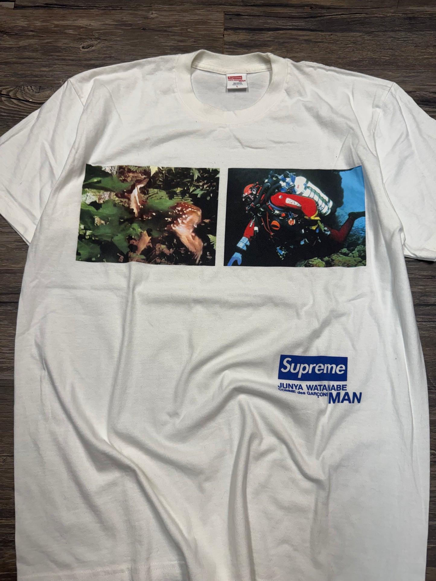 SUPREME X JUNYA X WATANABE X CDG NATURE GRAPHIC T-SHIRT (LARGE)