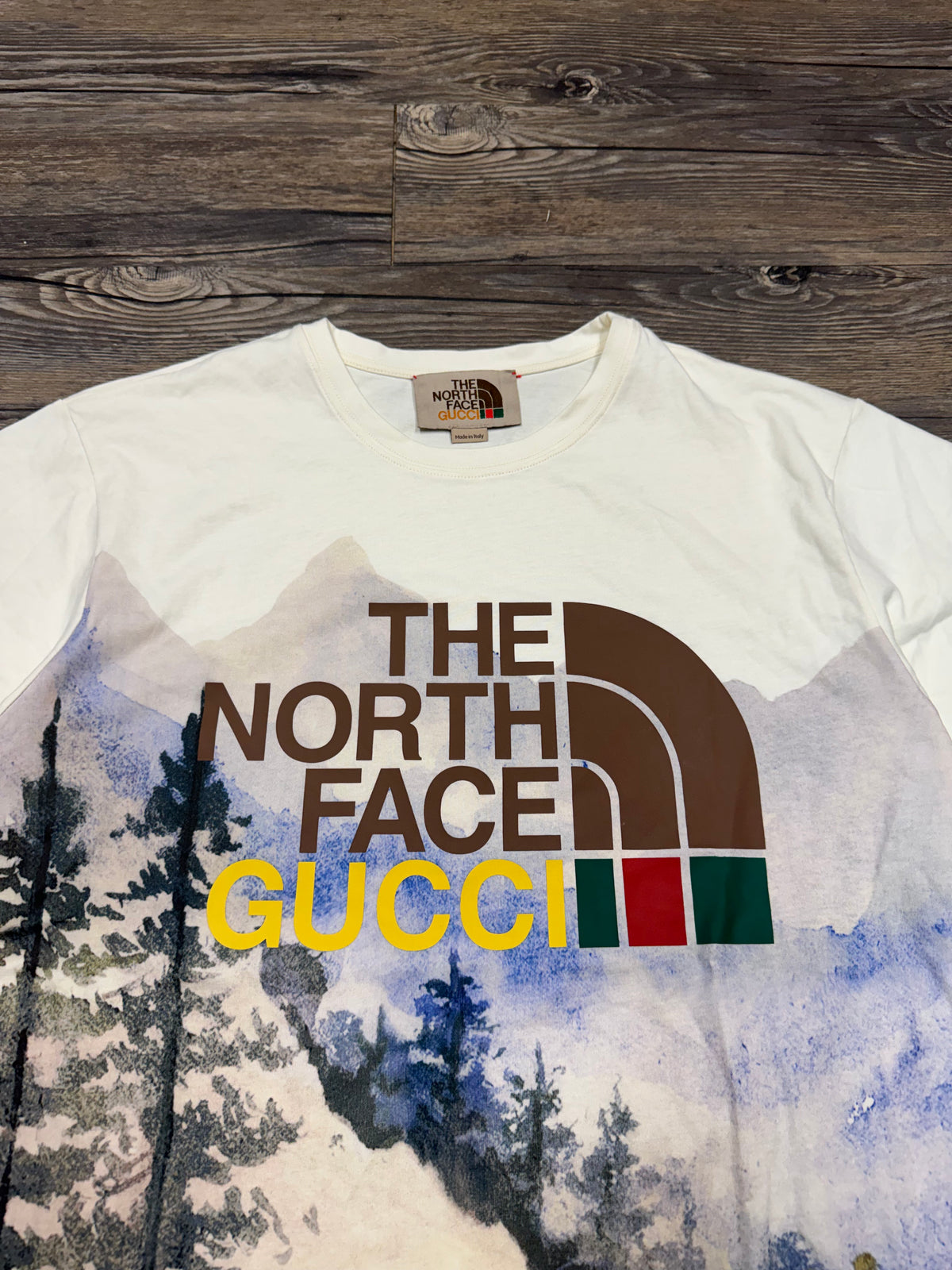 GUCCI X TNF ‘TRAIL PRINT’ AOP T-SHIRT (M)