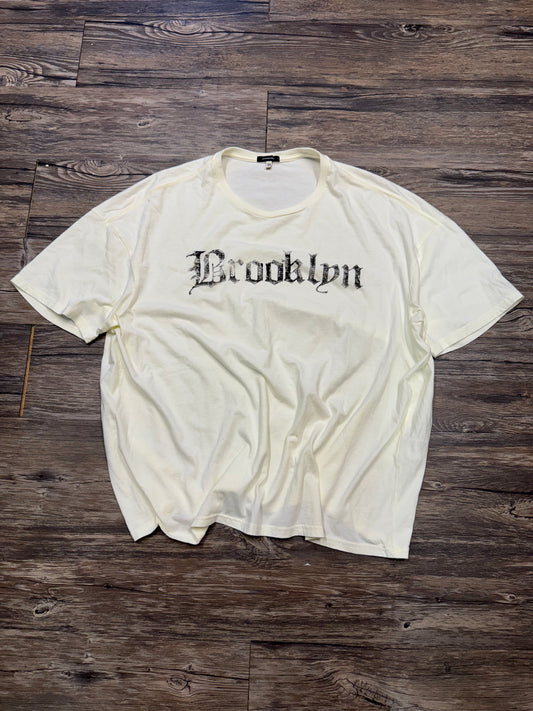 R13 BROOKLYN BOXY SEAMLESS T SHIRT (L)