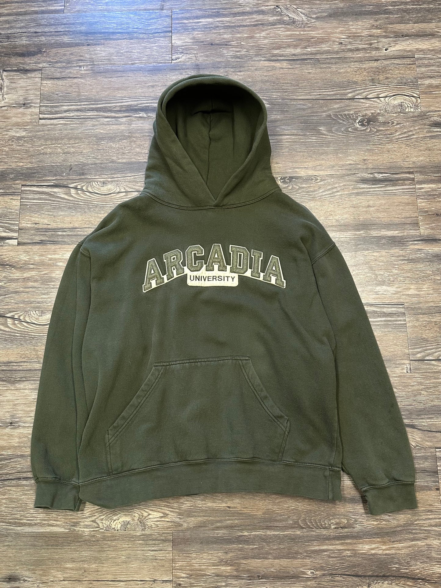 ARCADIA UNIVERSITY TEXT HOODIE