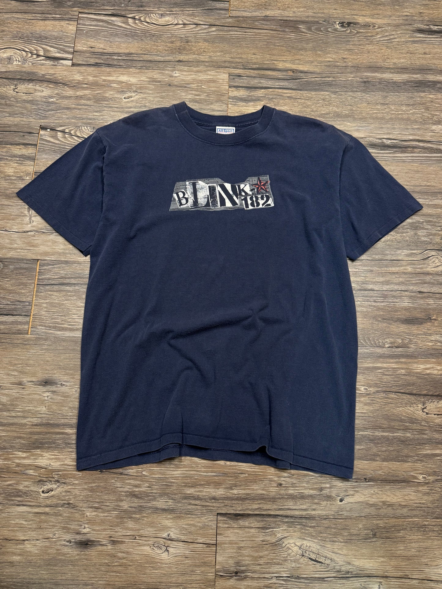 VINTAGE BLINK182 SHORT SLEEVE BAND T SHIRT (XL)