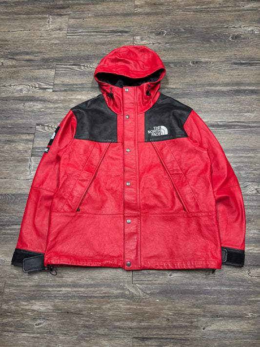 SUPREME X THE NORTH FACE LEATHER DOWN MOUNTAIN PARKA (M)