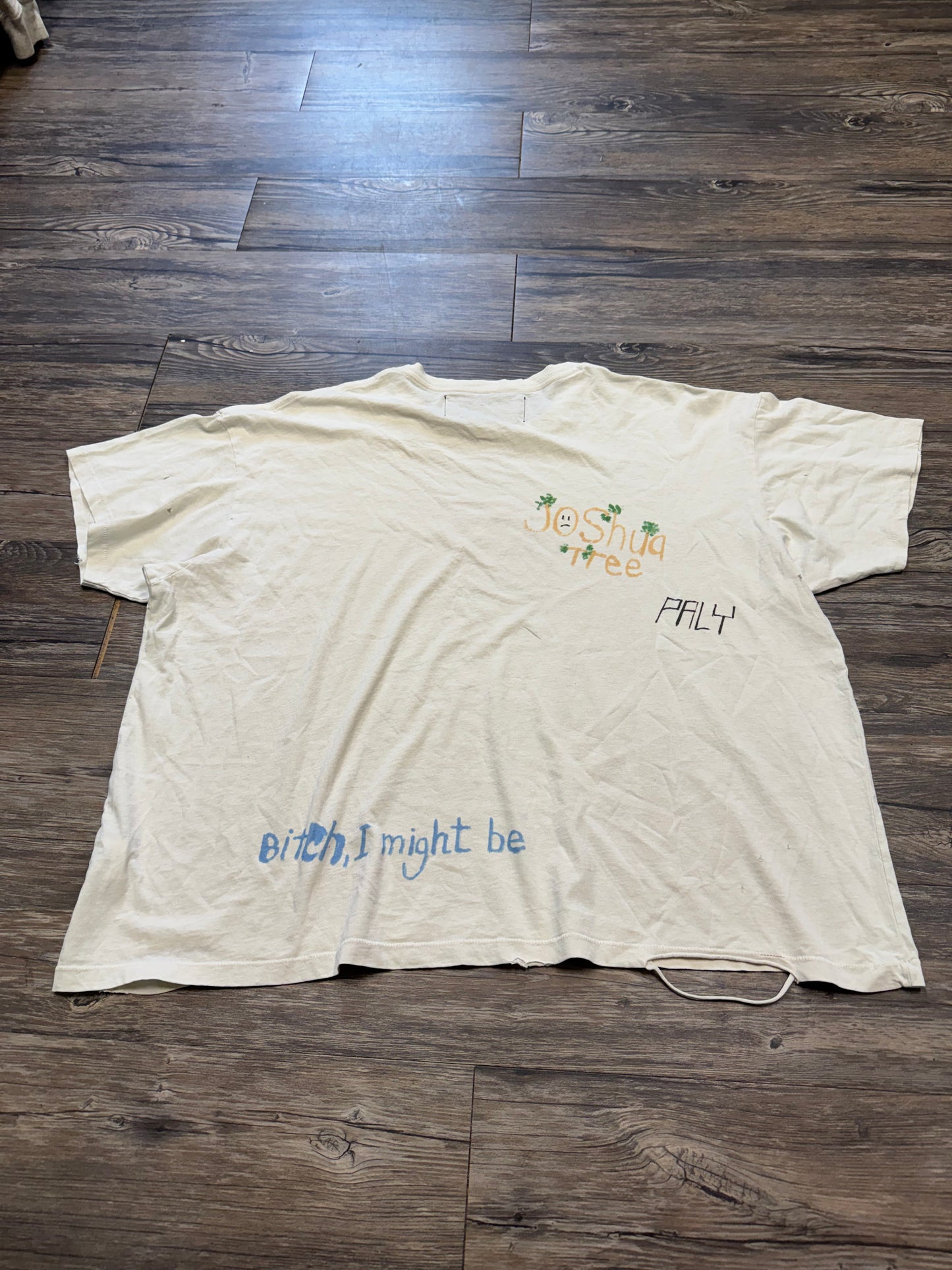 PALY HOLLYWOOD FIND YOUR FRIENDS DISTRESSED CREAM T-SHIRT (M)