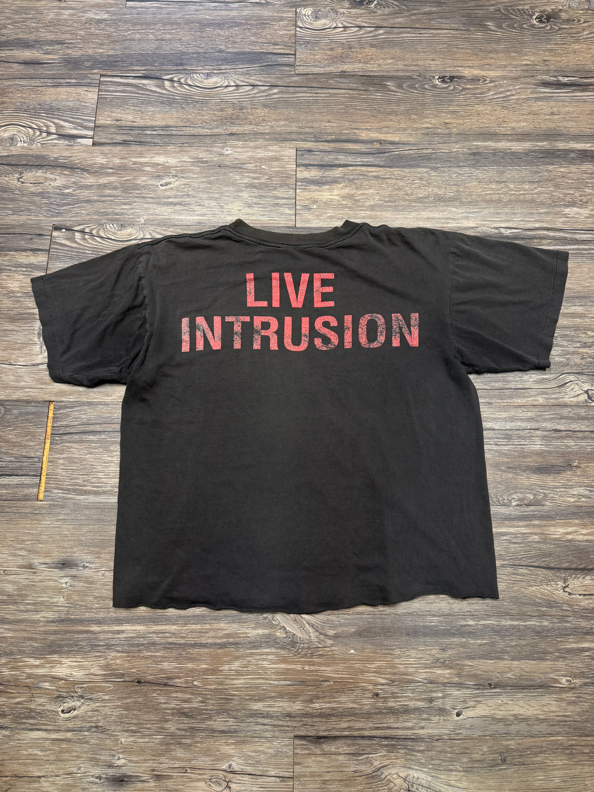 1995 LIVE INTRUSION WINGED SKULL CROPPED T-SHIRT (M)