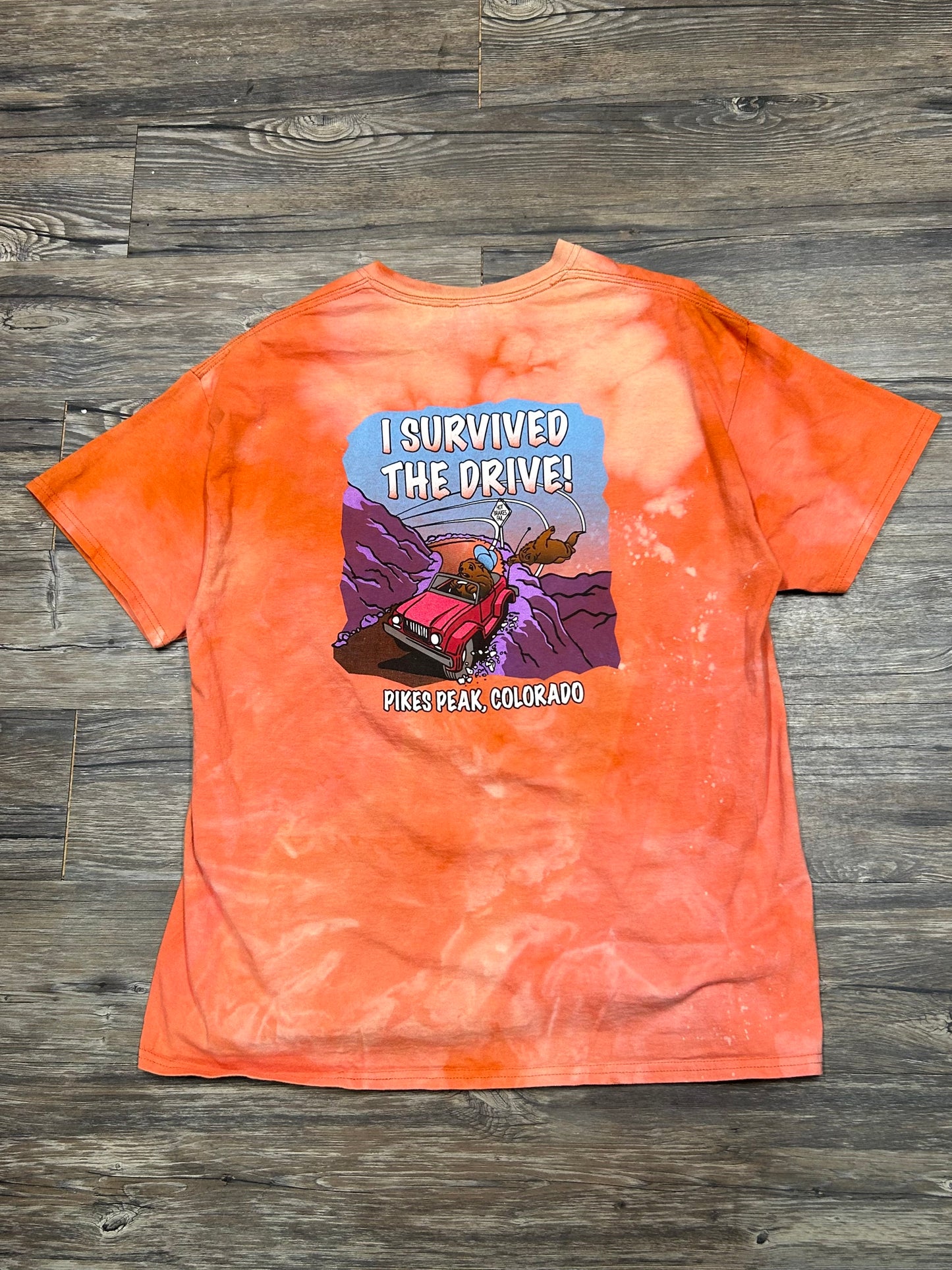 2000’s “I SURVIVED THE DRIVE” COLORADO T-SHIRT (XL)