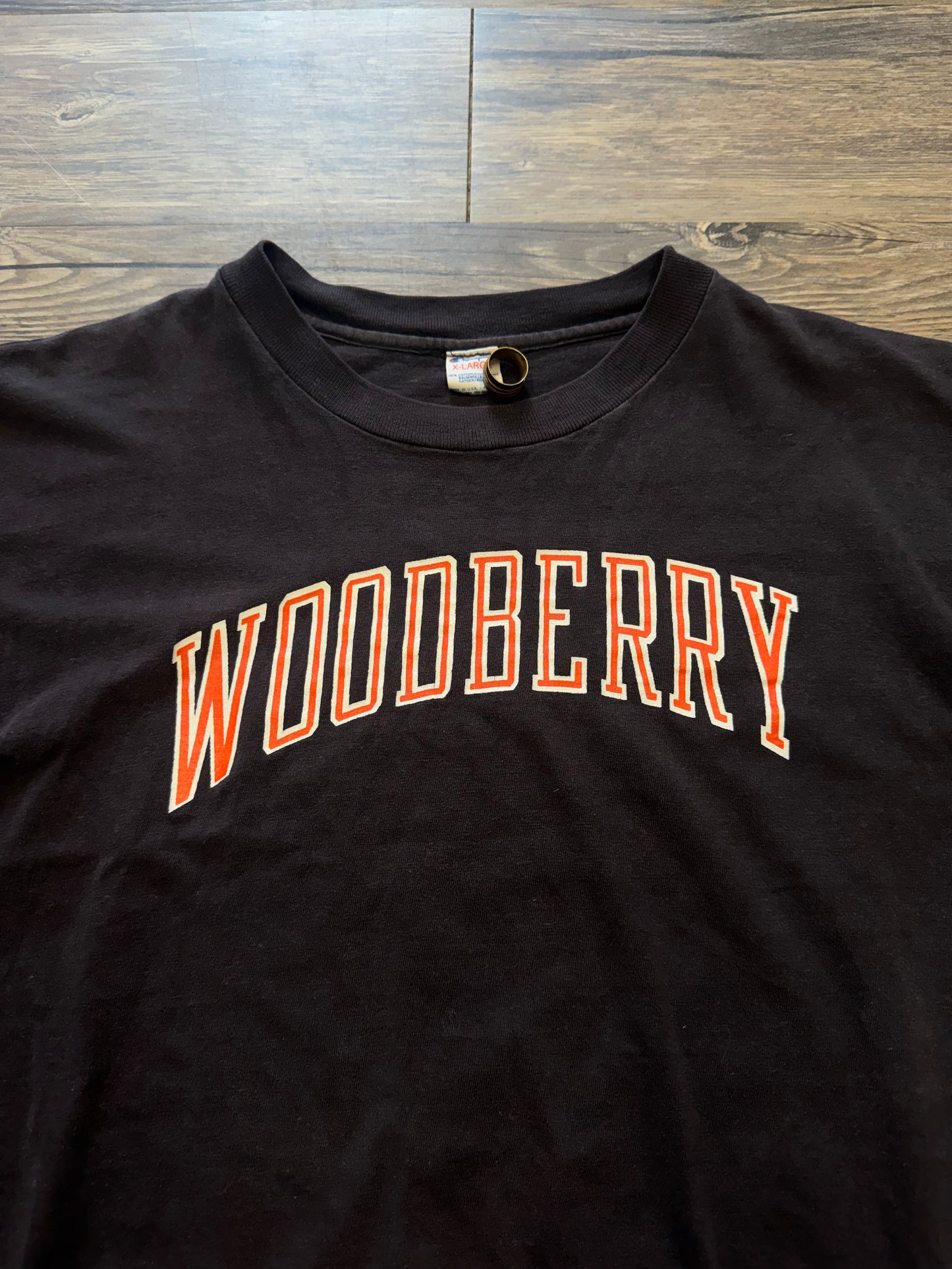 80s CHAMPION WOODBERRY FADED BROWN T-SHIRT (XL)