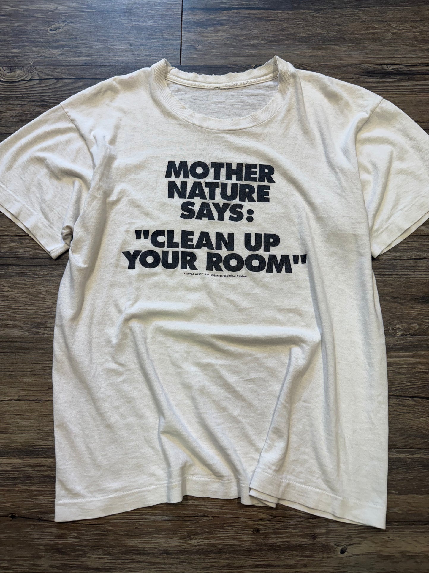 80s ‘MOTHER NATURE CLEAN UP YOUR ROOM’ TATTERED T-SHIRT (M)