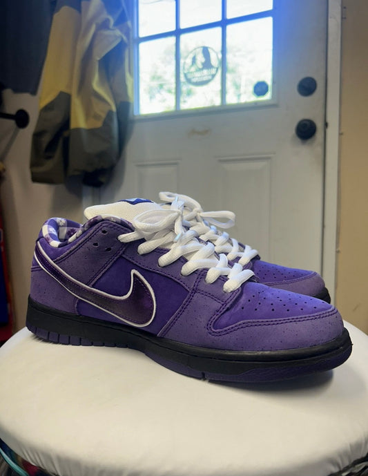 NIKE SB DUNK LOW CONCEPTS PURPLE LOBSTER (M 9.5)