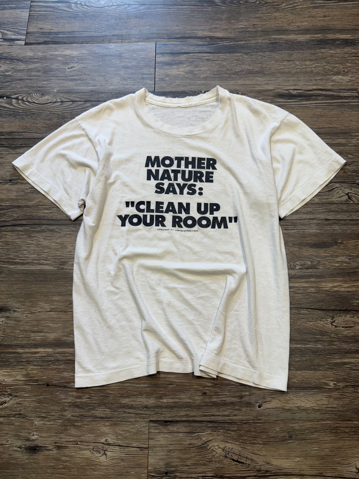 80s ‘MOTHER NATURE CLEAN UP YOUR ROOM’ TATTERED T-SHIRT (M)