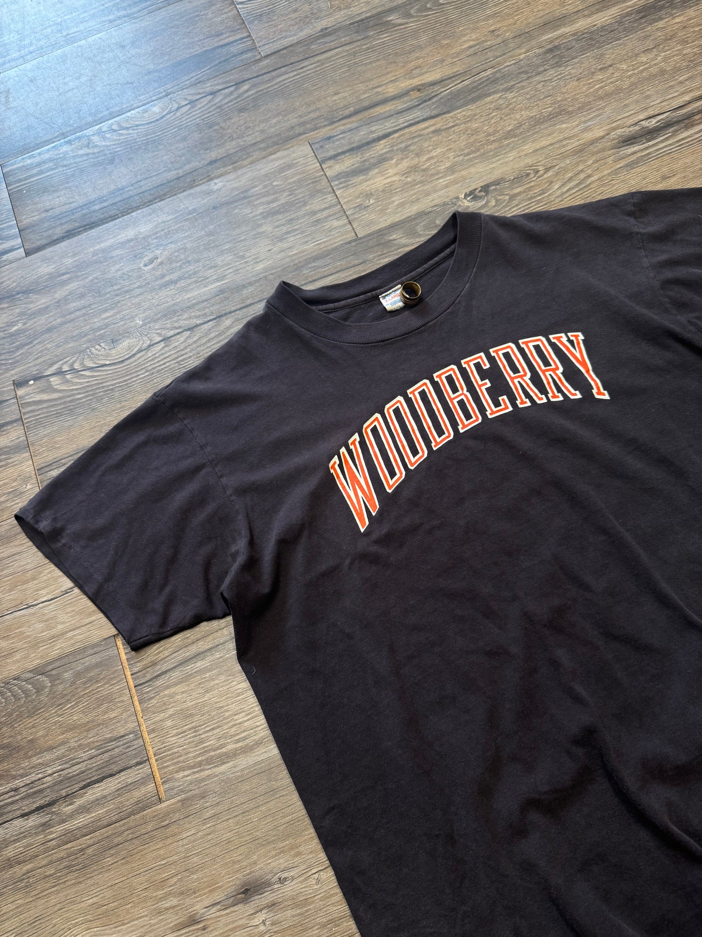 80s CHAMPION WOODBERRY FADED BROWN T-SHIRT (XL)