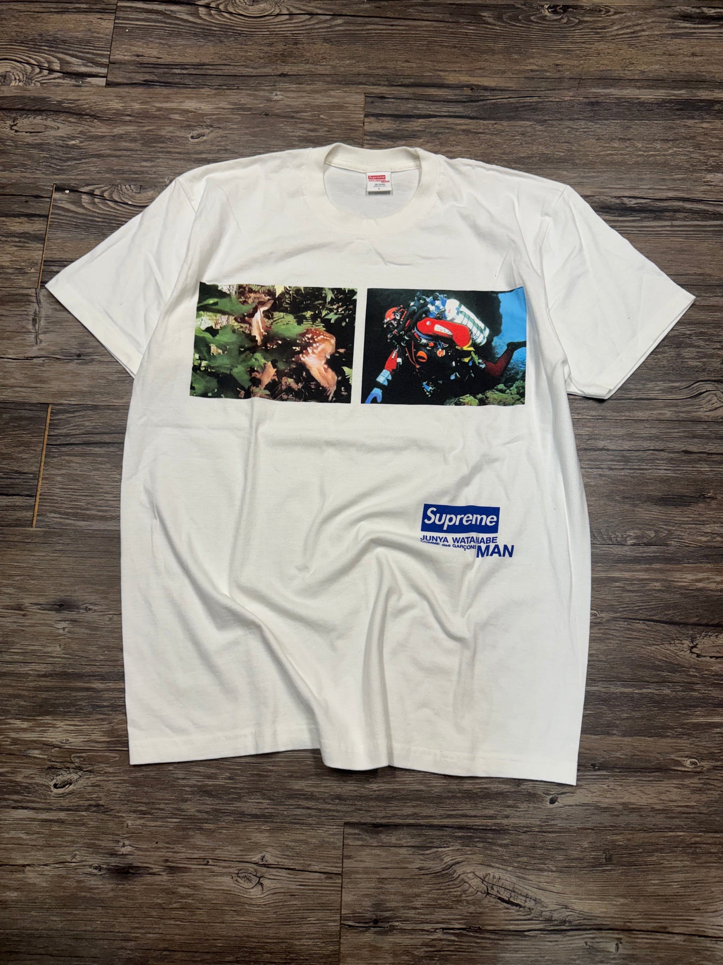 SUPREME X JUNYA X WATANABE X CDG NATURE GRAPHIC T-SHIRT (LARGE)