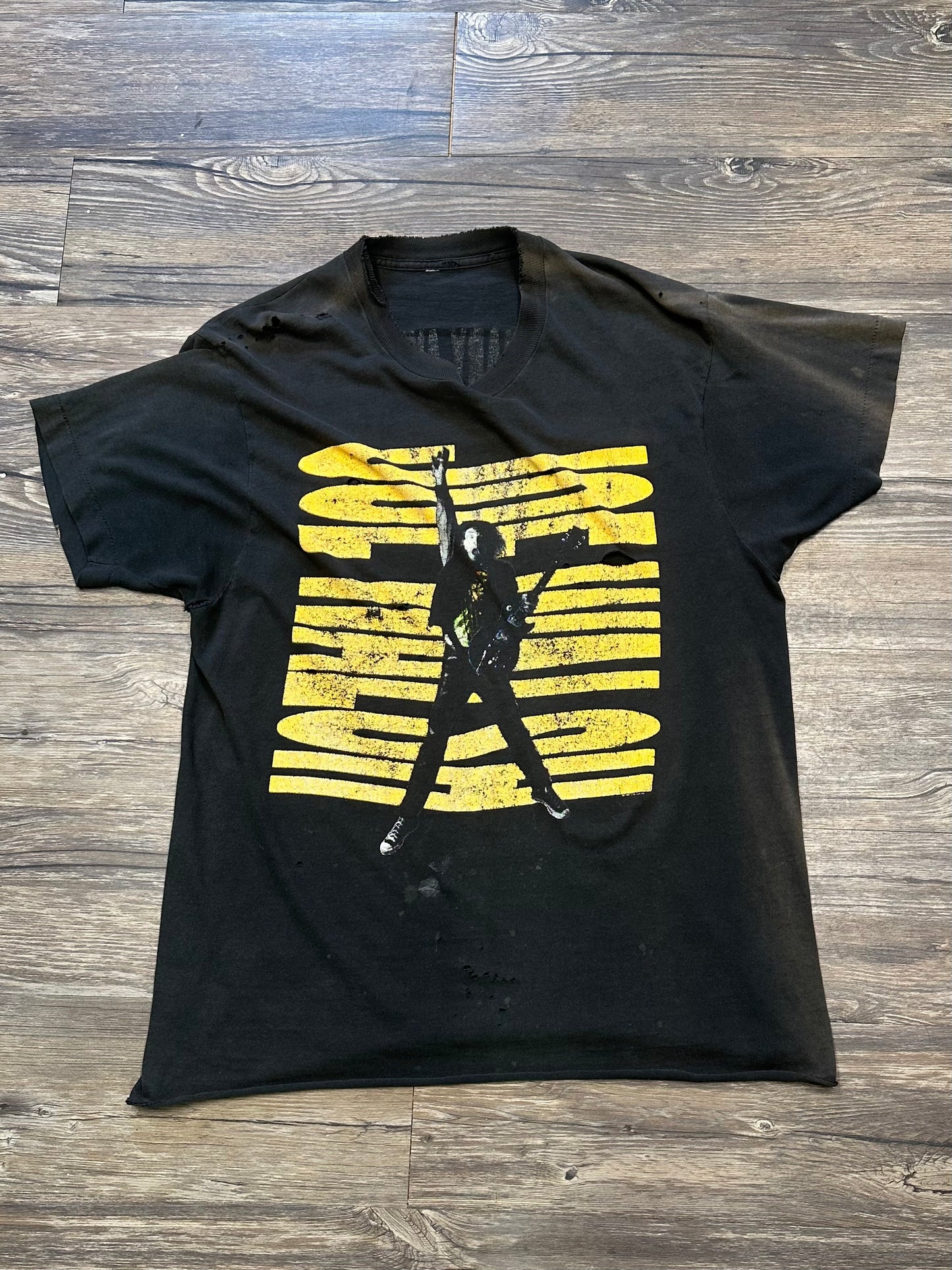 JOE WALSH BAND T-SHIRT (MEDIUM)