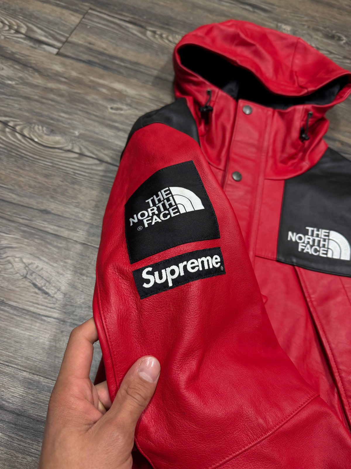 SUPREME X THE NORTH FACE LEATHER DOWN MOUNTAIN PARKA (M)