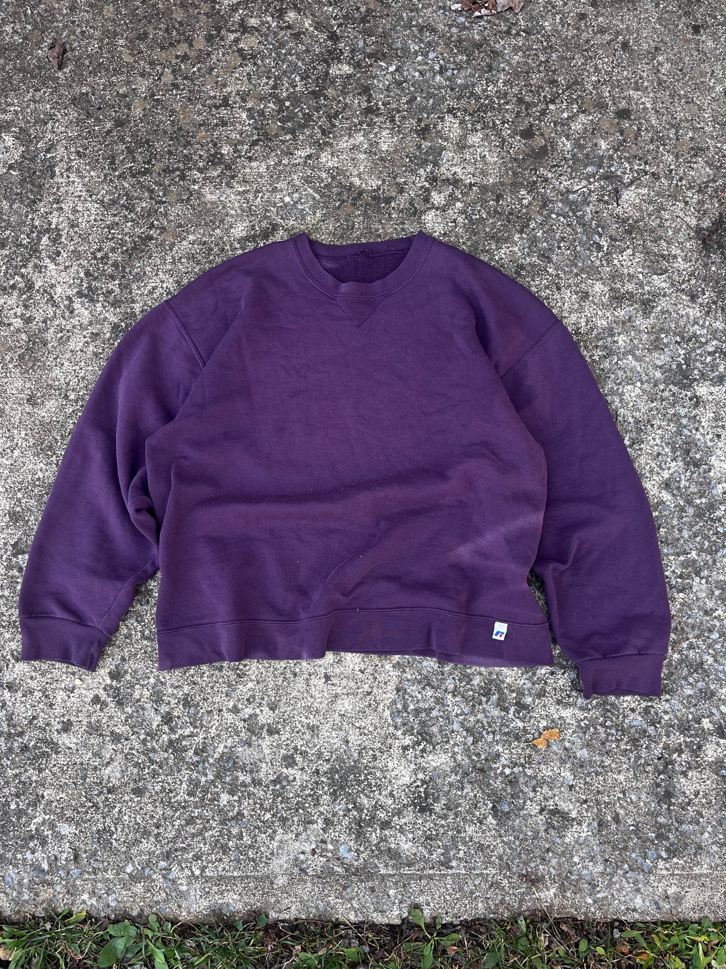 VINTAGE SUN-FADED RUSSELL CREWNECK (L)