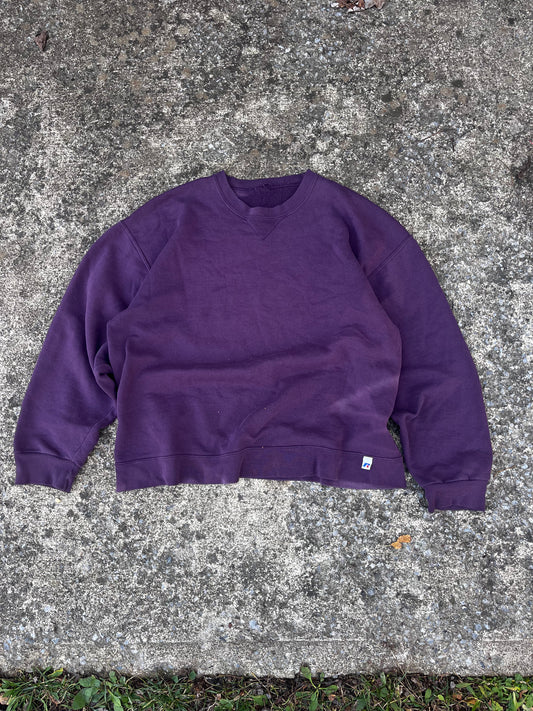 VINTAGE SUN-FADED RUSSELL CREWNECK (L)