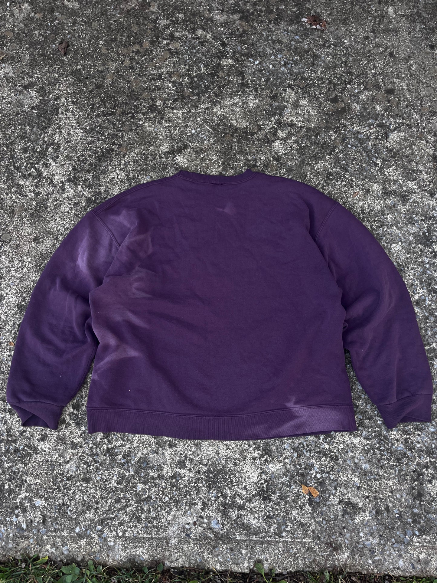 VINTAGE SUN-FADED RUSSELL CREWNECK (L)