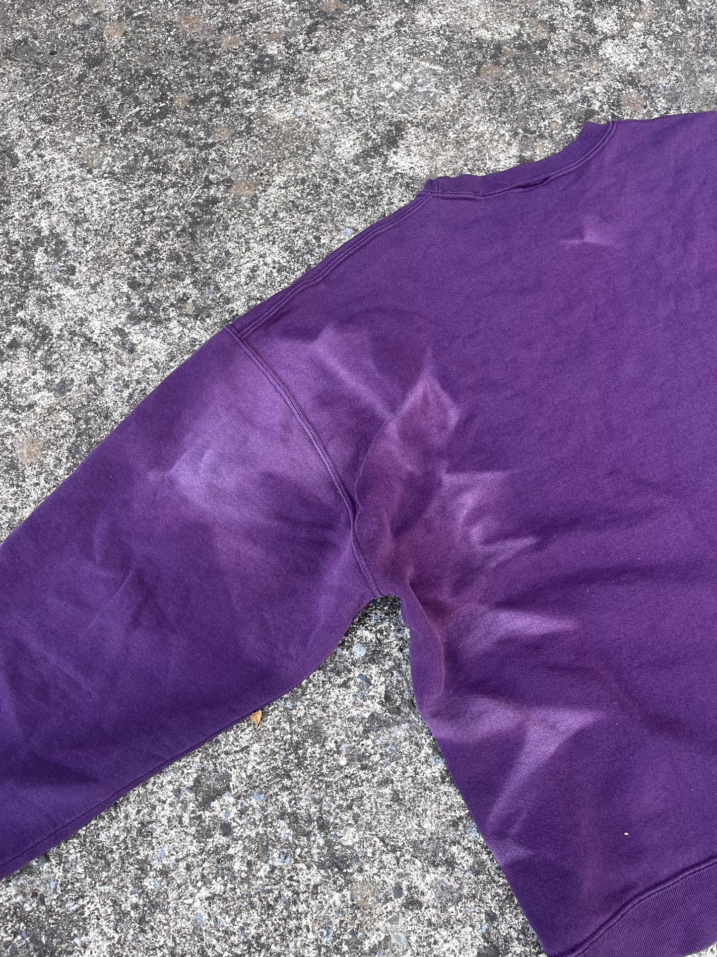 VINTAGE SUN-FADED RUSSELL CREWNECK (L)